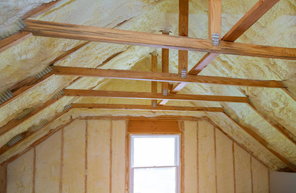 Best Residential Insulation in Catawba, SC